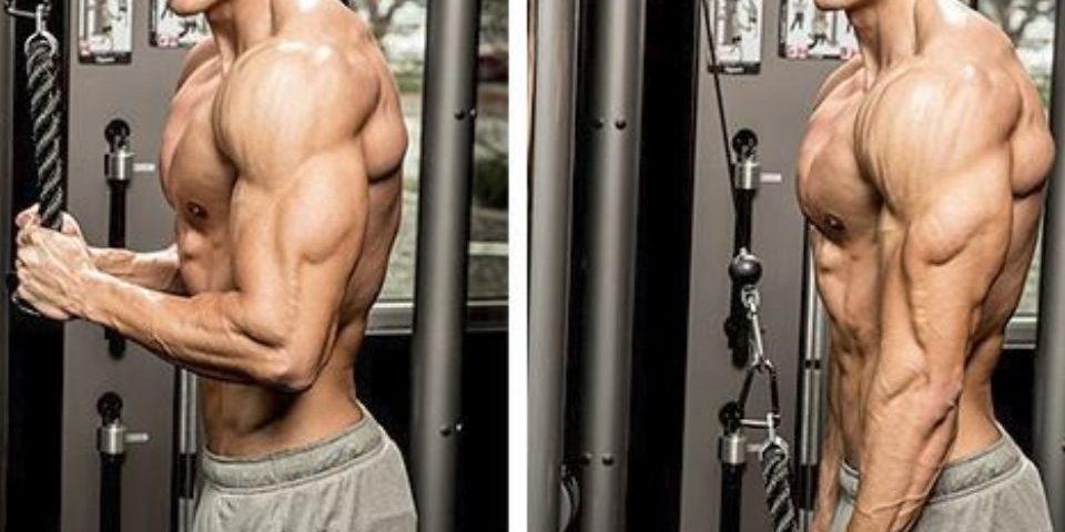 Want Big Arms? Hit Your Triceps More Often