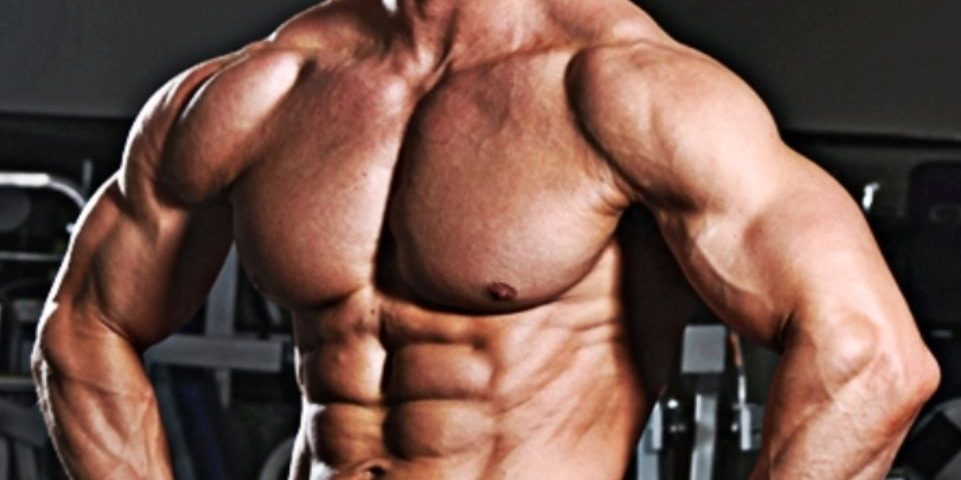 Build Bigger Chest Muscles Faster - Muscle & Fitness