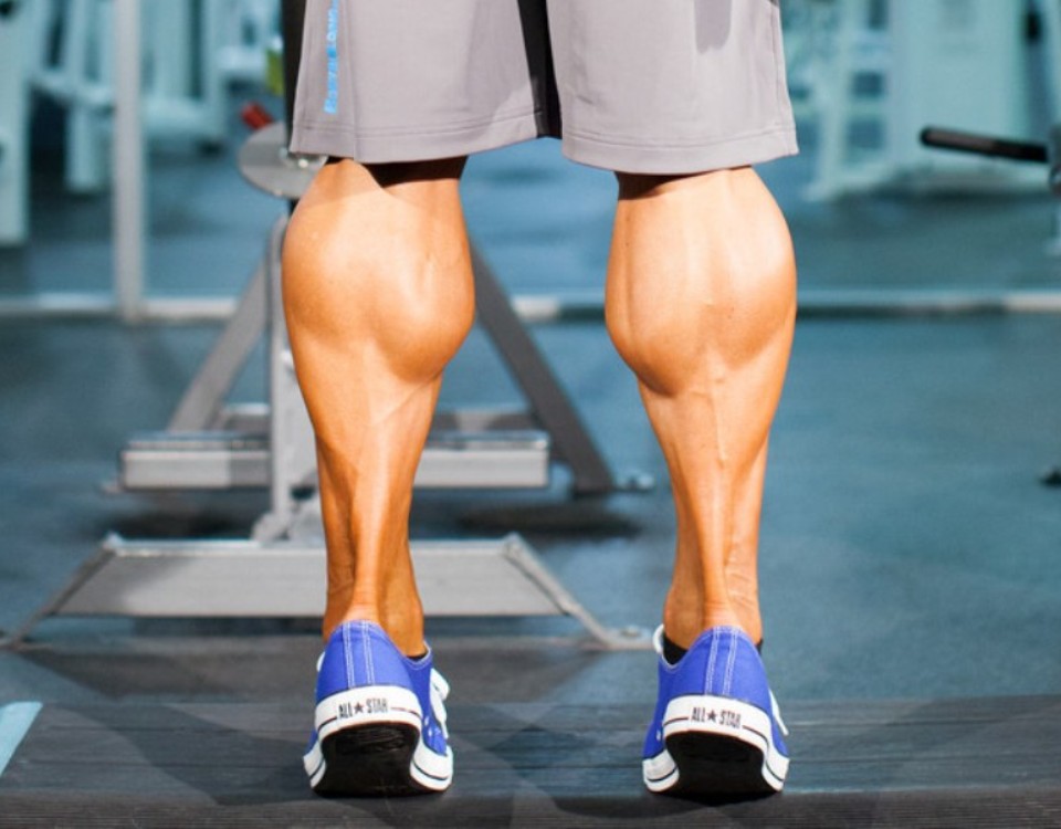How To Build Bigger Calves Muscle in Your Lower Legs - Muscle
