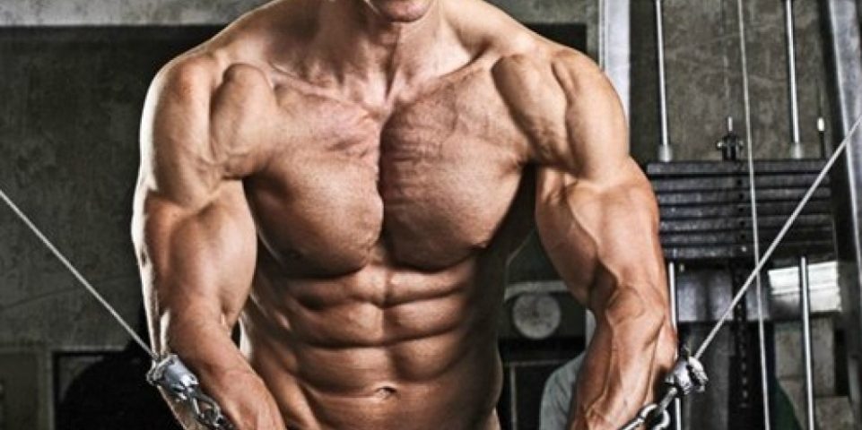 4 of The Best Moves for Building a Big Chest + Workout